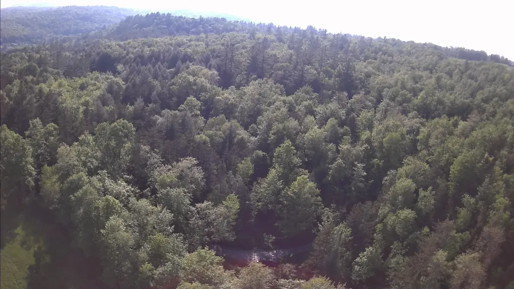 Tbd S Orchard Road Lincoln VT 05443