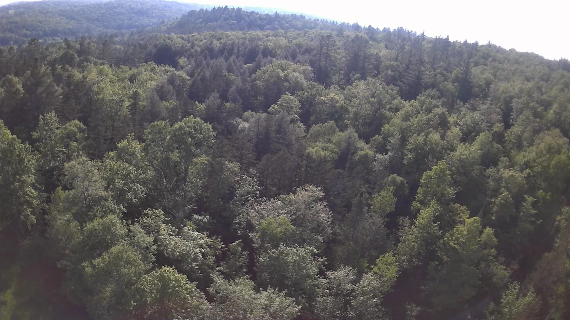 Tbd S Orchard Road Lincoln VT 05443