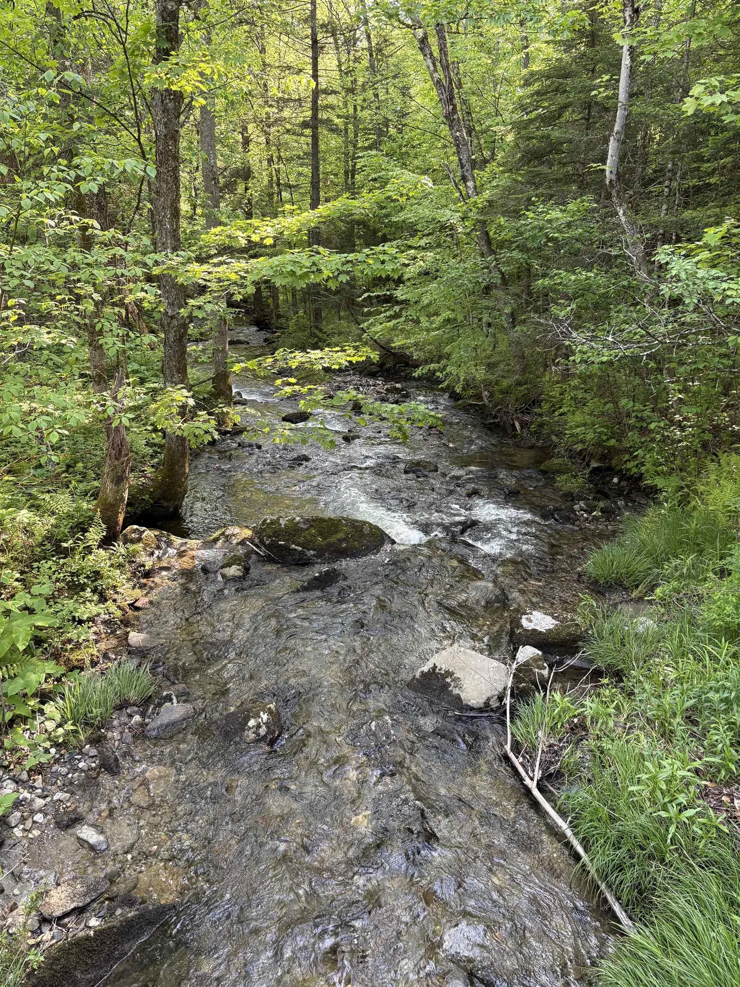 Tbd S Orchard Road Lincoln VT 05443