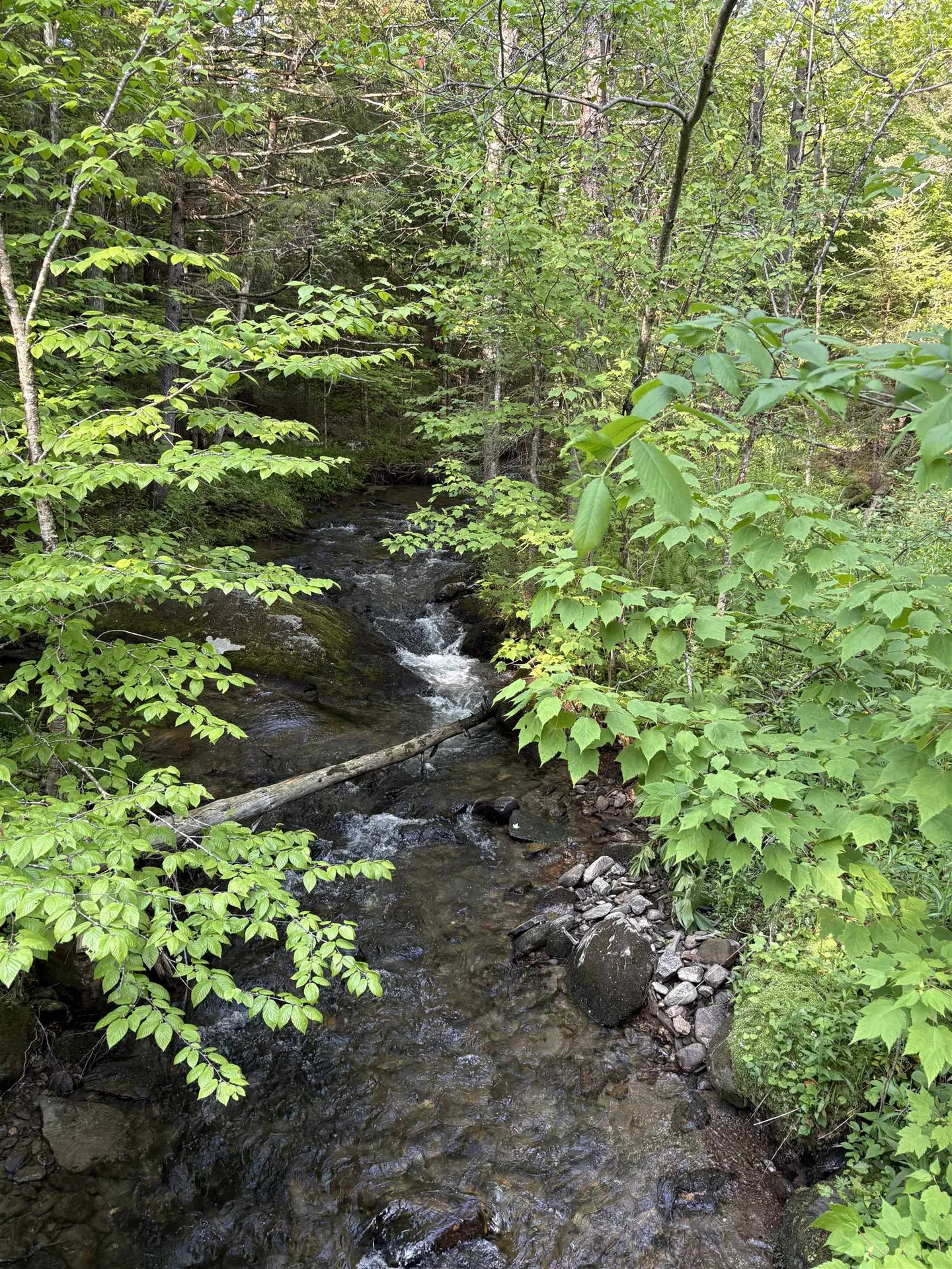 Tbd S Orchard Road Lincoln VT 05443