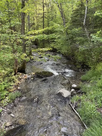 Tbd S Orchard Road Lincoln VT 05443