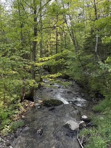 Tbd S Orchard Road Lincoln VT 05443