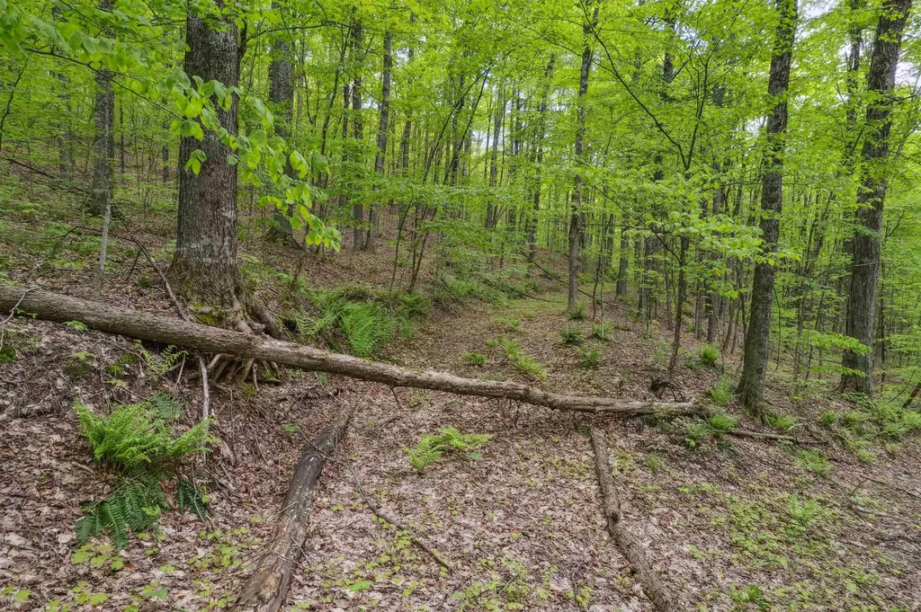 0 Rowell Road Vershire VT 05079