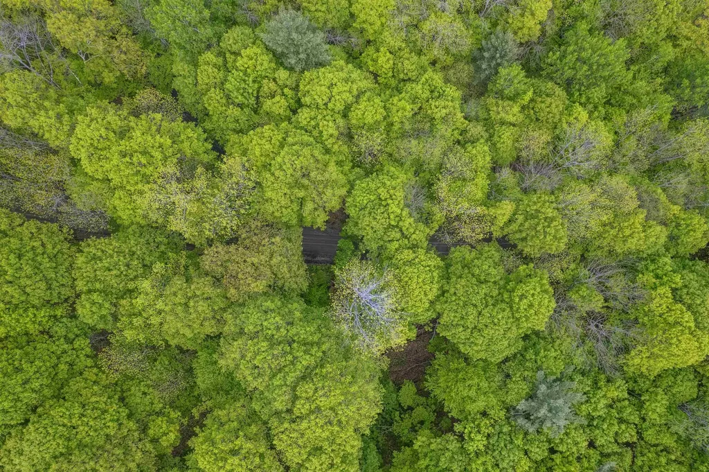 0 Rowell Road Vershire VT 05079