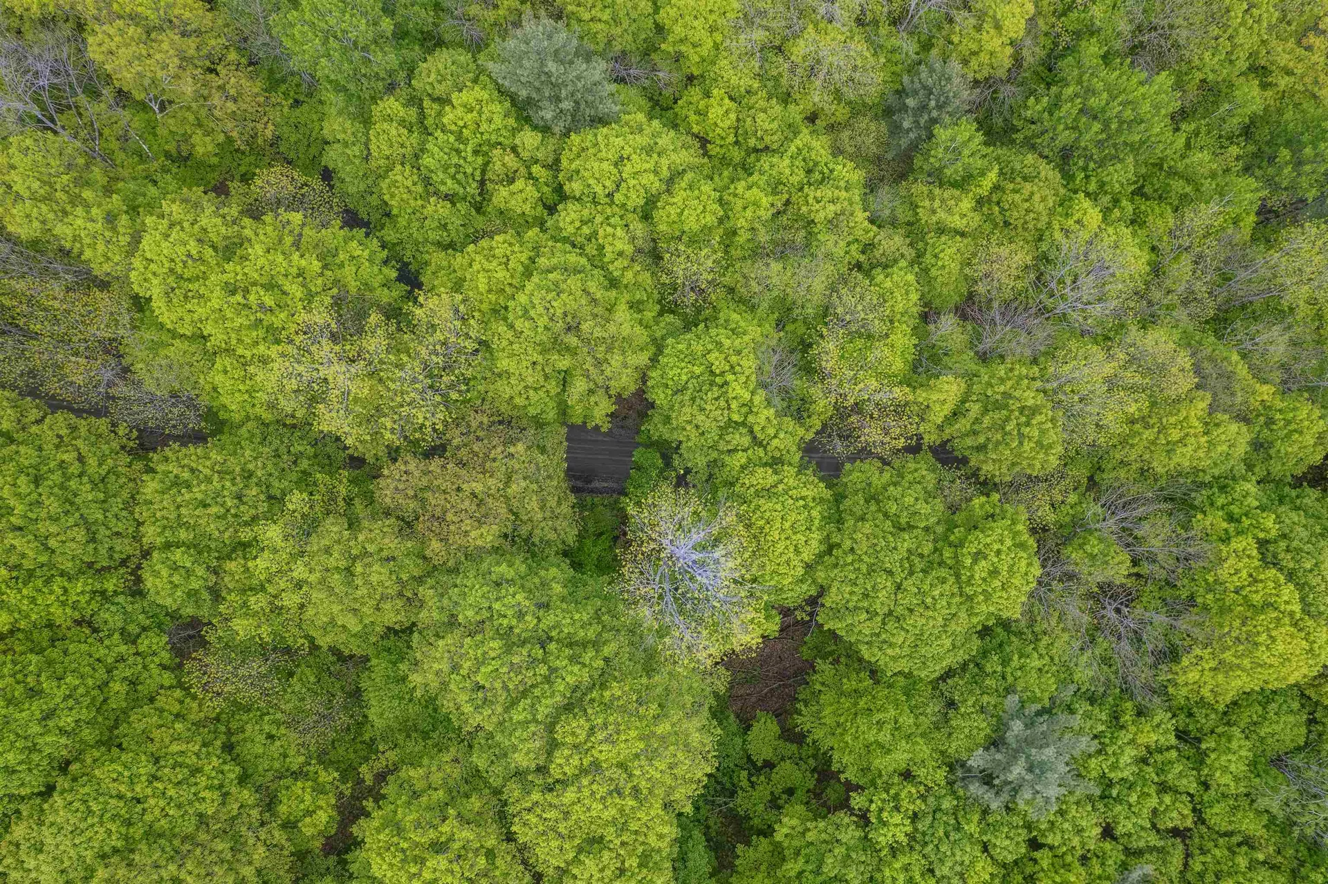 0 Rowell Road Vershire VT 05079