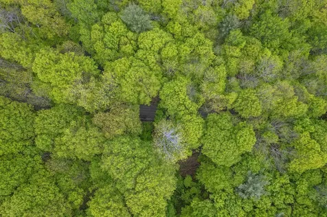 0 Rowell Road Vershire VT 05079