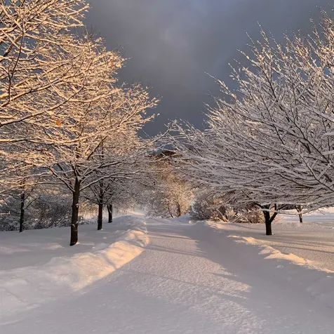 664 East Main Street Richmond VT 05477