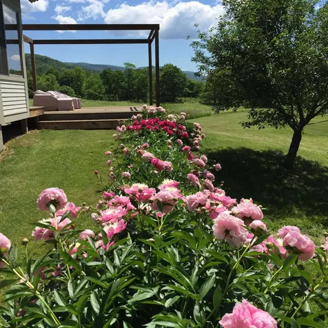 664 East Main Street Richmond VT 05477