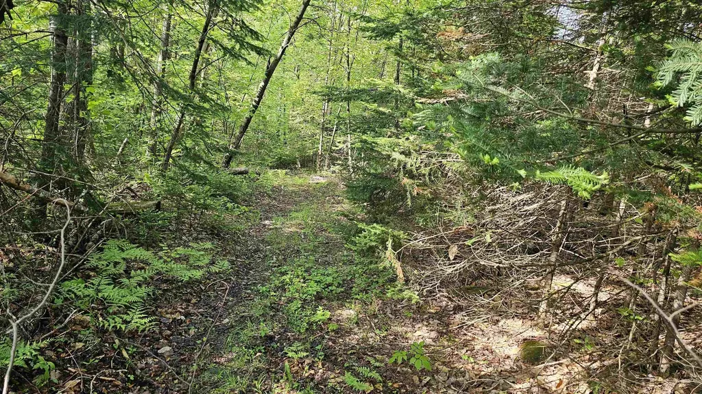 00 Hurlbut Hill Lane Waterford VT 05819