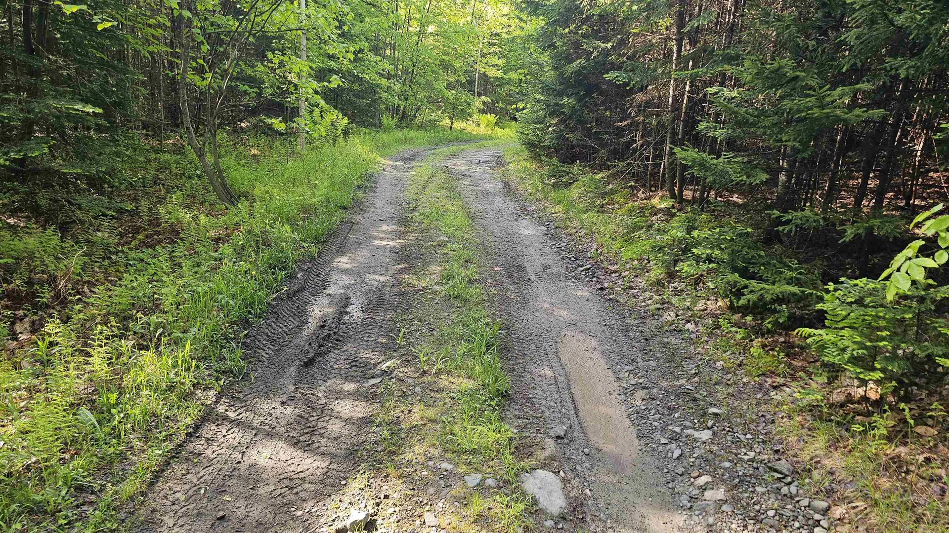 00 Hurlbut Hill Lane Waterford VT 05819