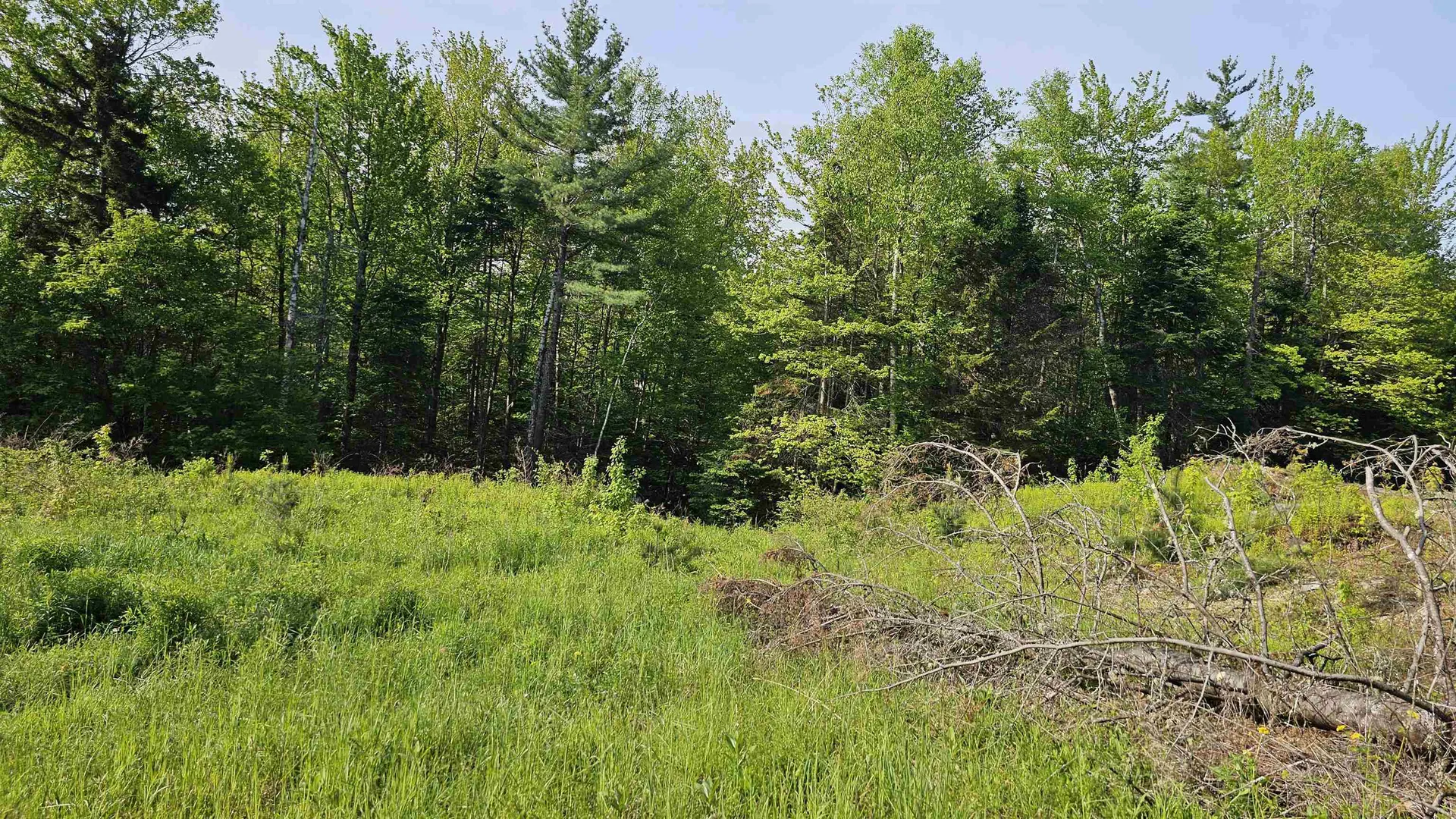 00 Hurlbut Hill Lane Waterford VT 05819