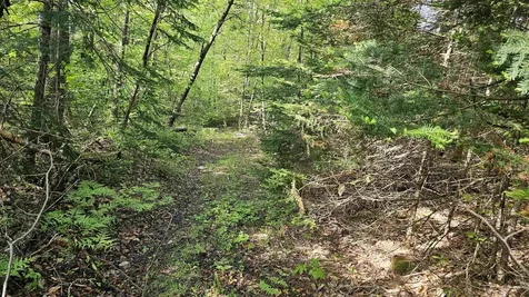 00 Hurlbut Hill Lane Waterford VT 05819