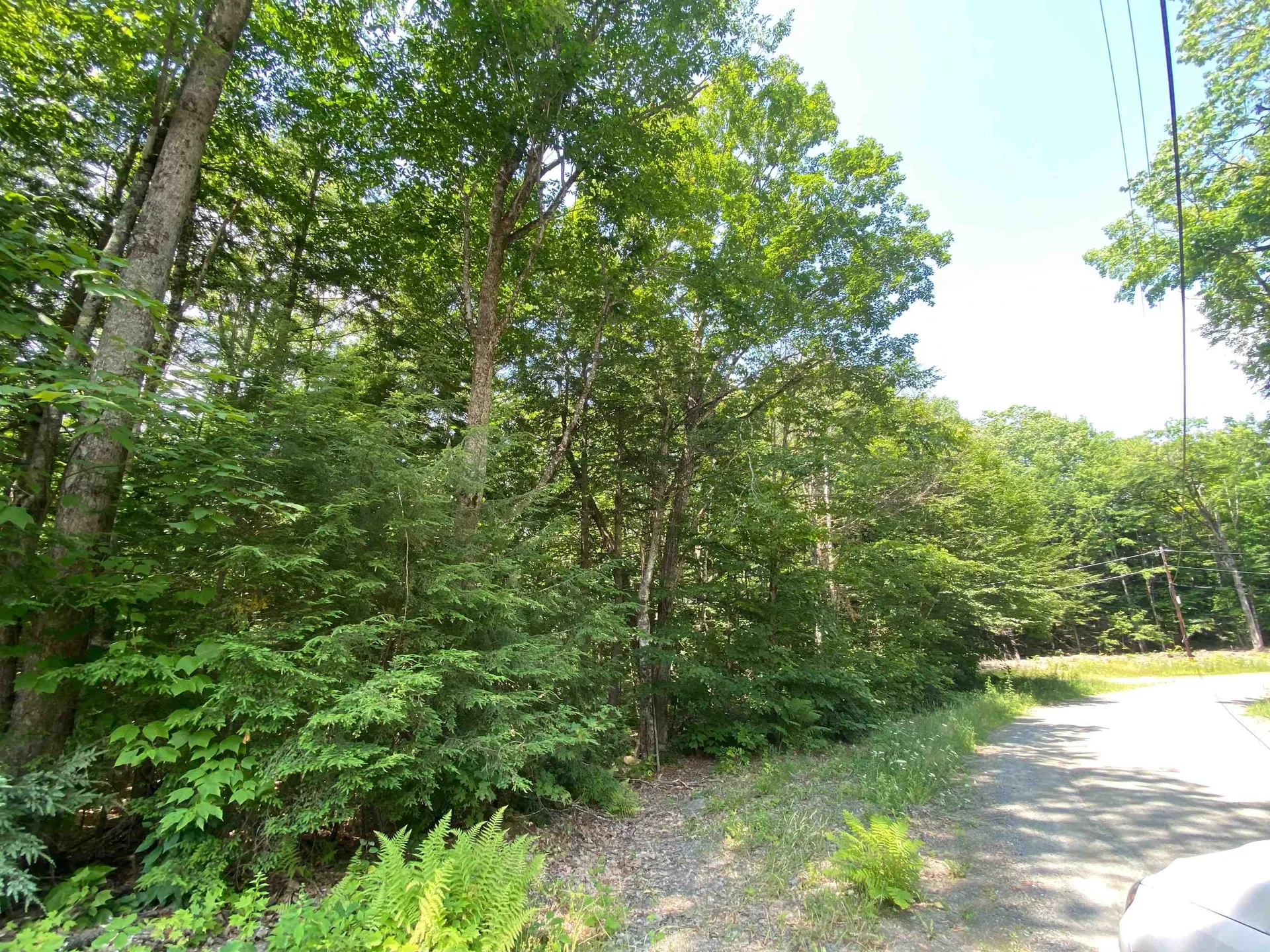 Tyler Way Bath NH 03740