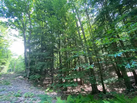 Tyler Way Bath NH 03740