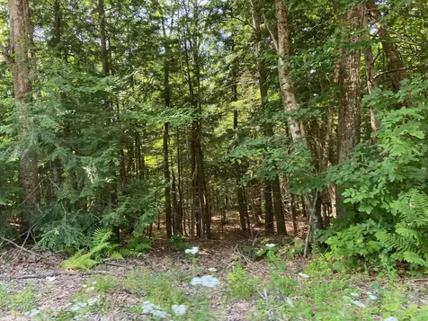 Tyler Way Bath NH 03740