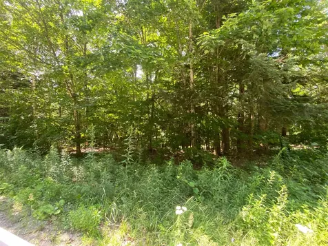 Tyler Way Bath NH 03740