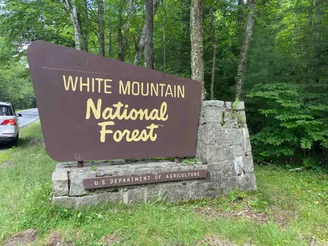 Tyler Way Bath NH 03740