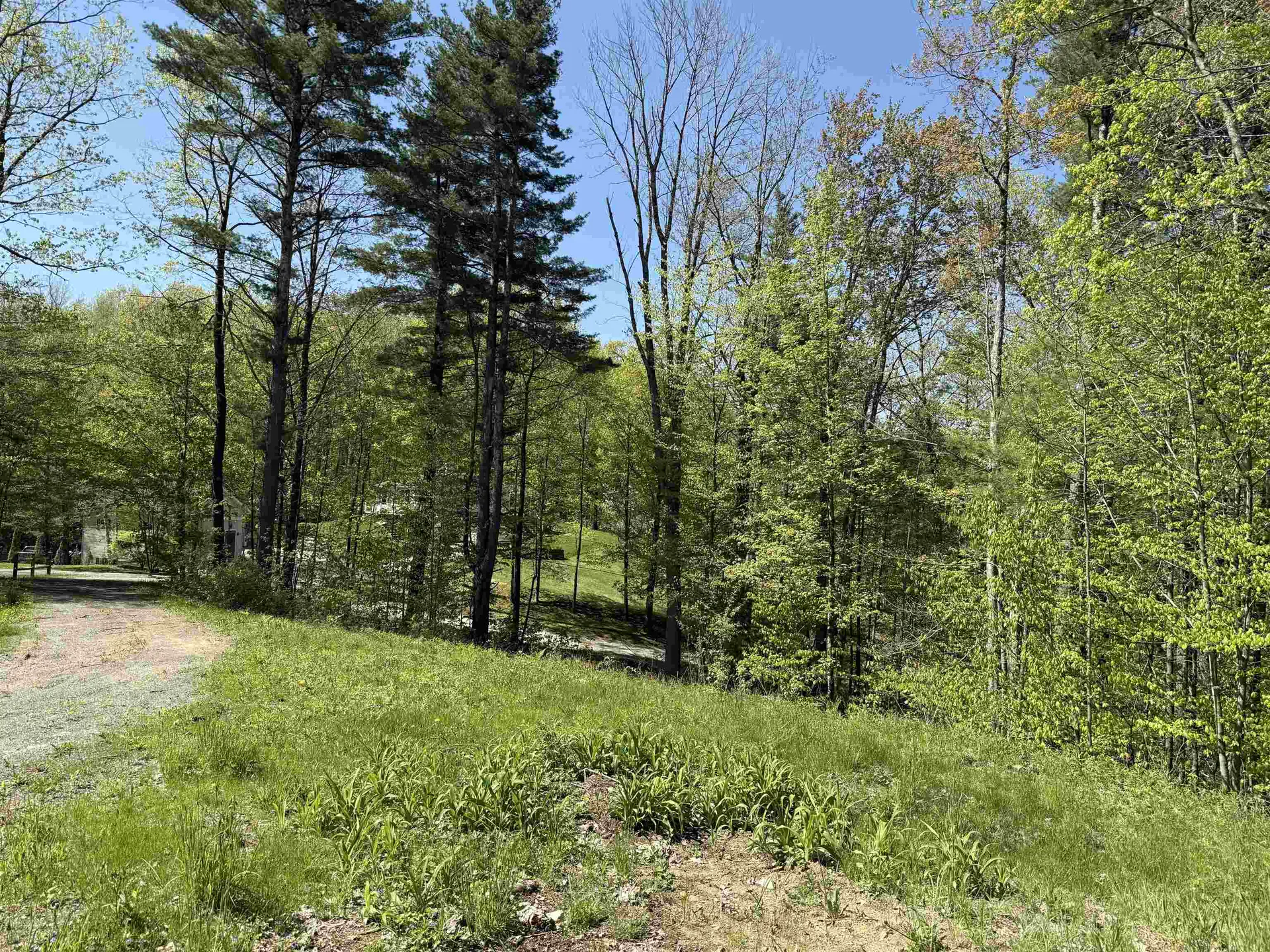 93 Pace Road Pownal VT 05201-8755