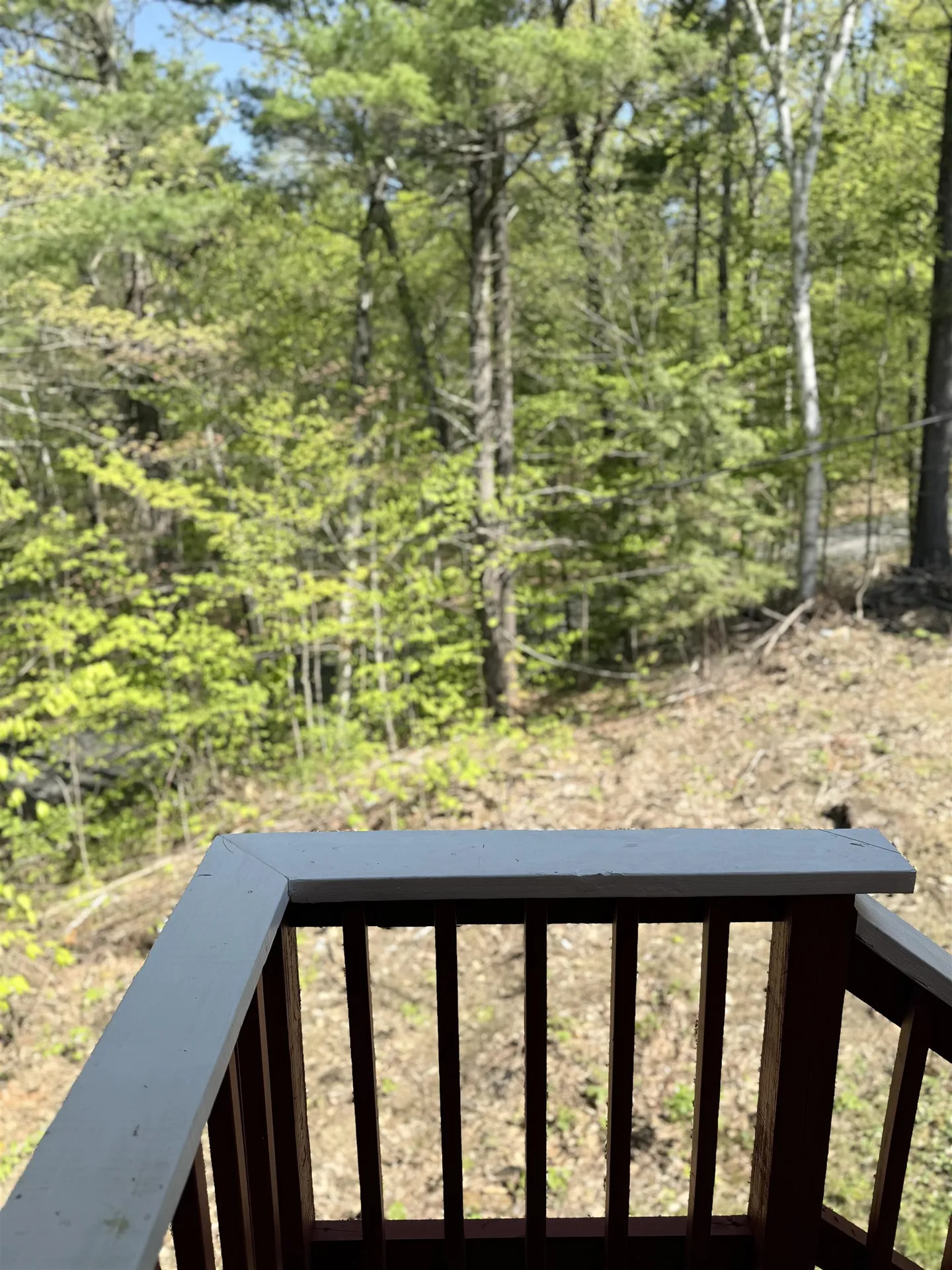 93 Pace Road Pownal VT 05201-8755