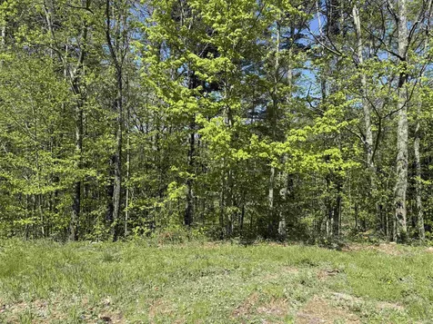 93 Pace Road Bennington VT 05201-8755