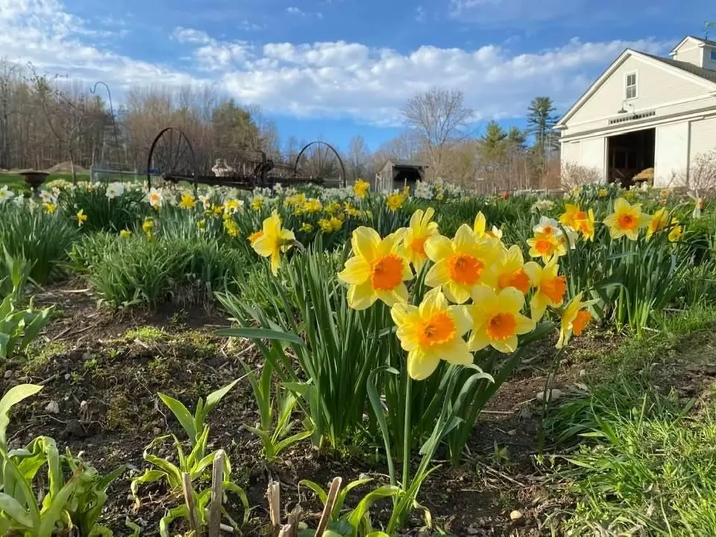 24 White Brook Drive Sullivan NH 03445