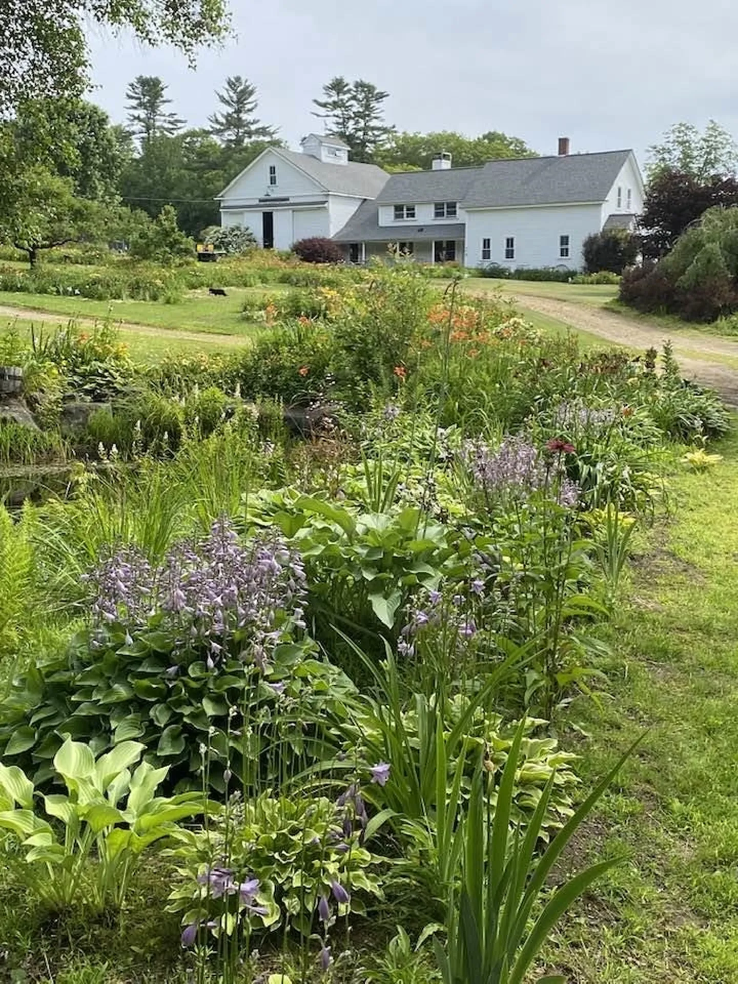 24 White Brook Drive Sullivan NH 03445