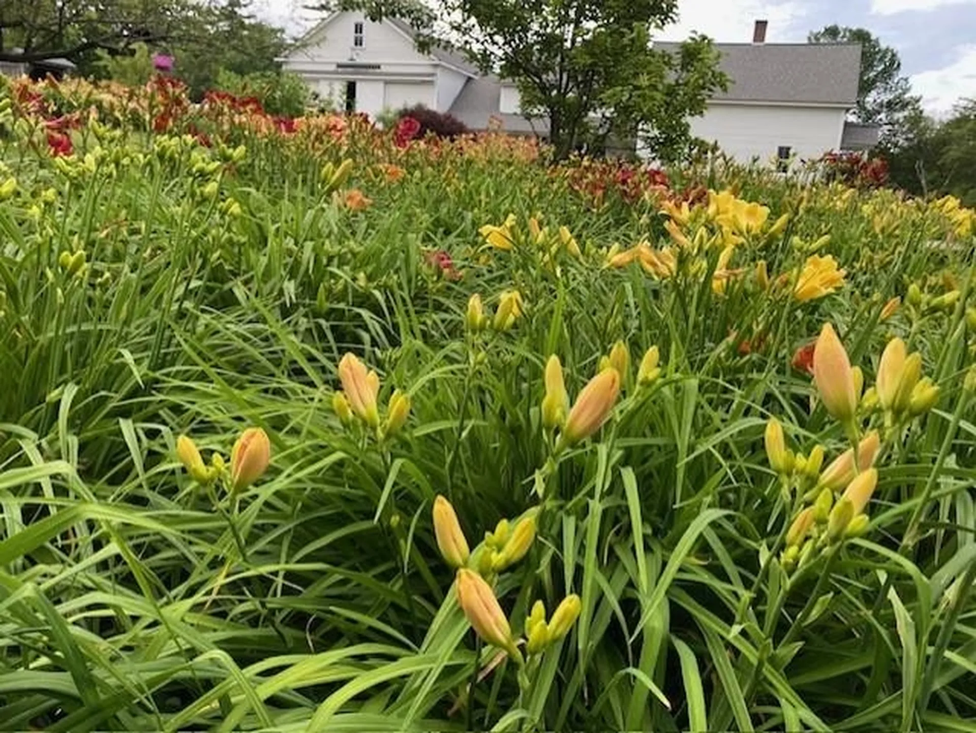 24 White Brook Drive Sullivan NH 03445