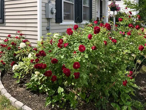 34 S Spring Street Concord NH 03301