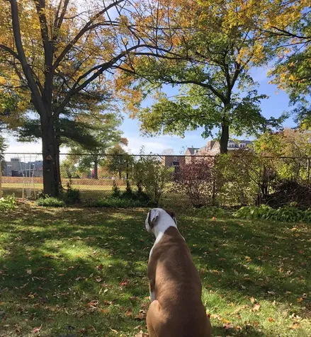 34 S Spring Street Concord NH 03301