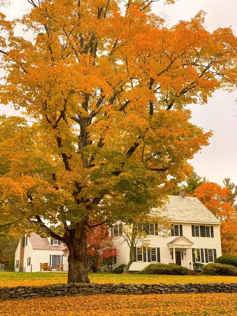 236 Main Street Jaffrey NH 03452