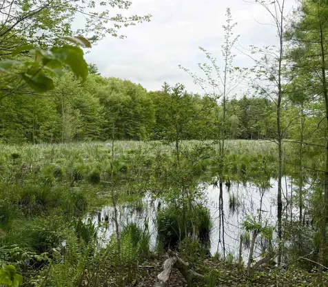 41-48 Meindl Road Raymond NH 03077