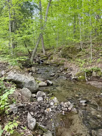 359 South Mountain Road Weathersfield VT 05030
