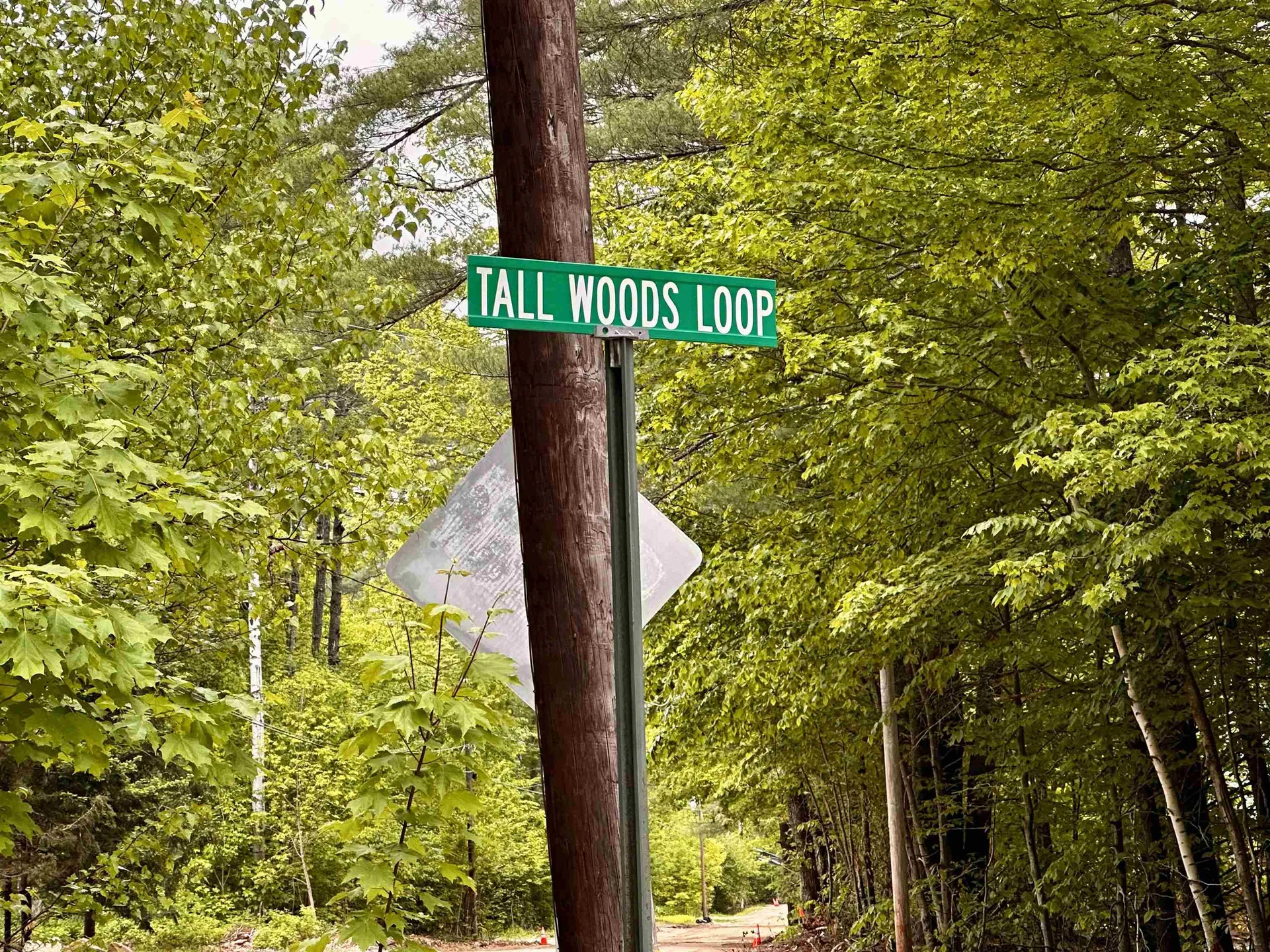 00 Tall Woods Loop Bartlett NH 03812