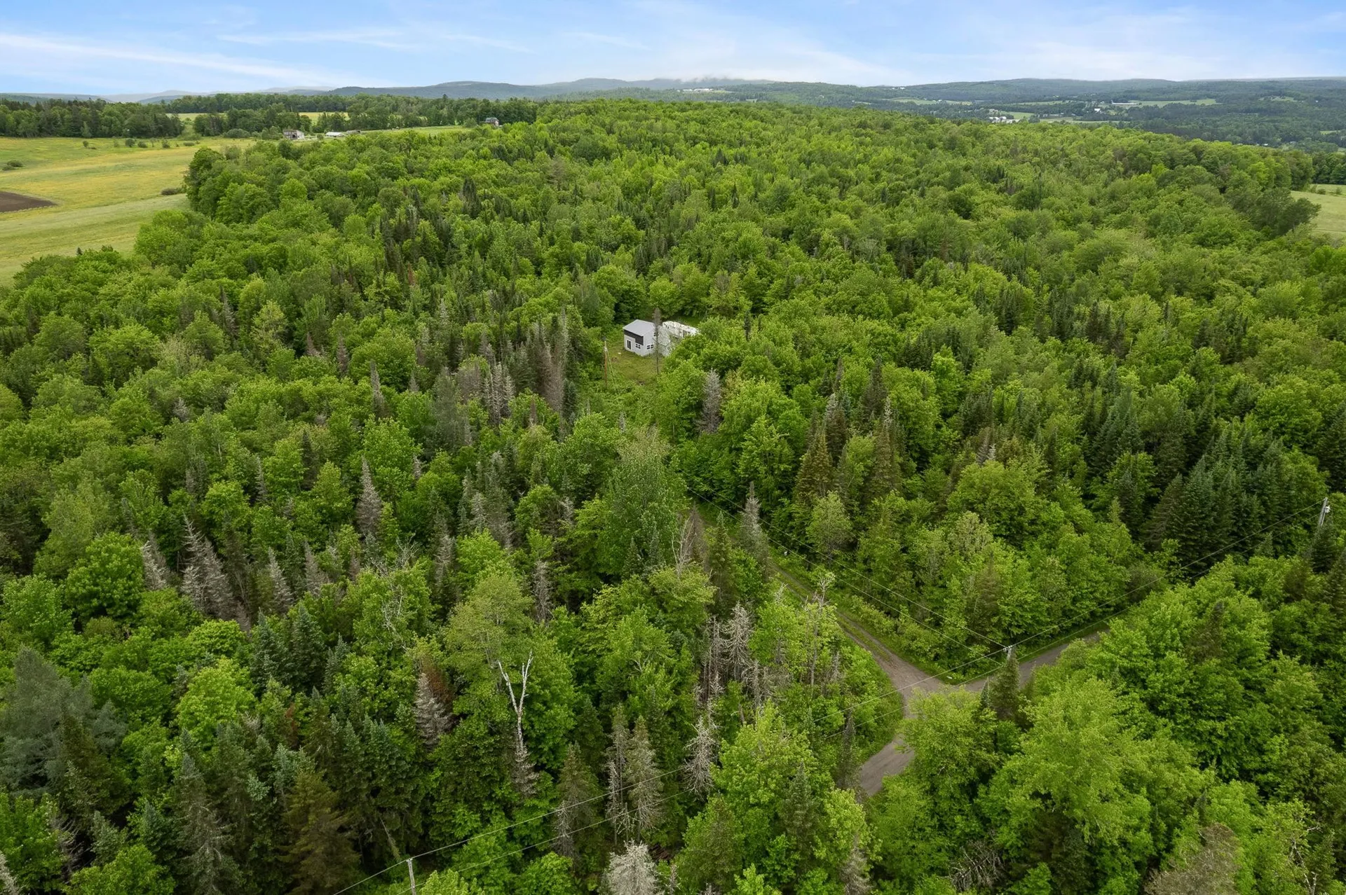 1817 Hopkins Hill Road Hardwick VT 05843