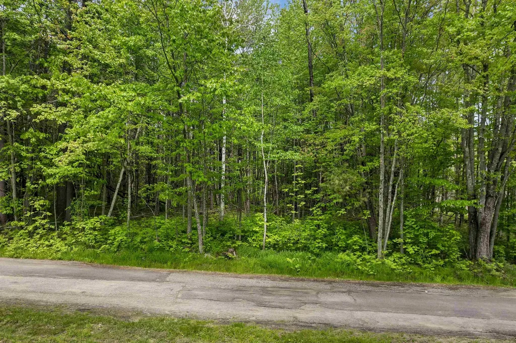Lot 4 Vere Royce Road Tuftonboro NH 03816
