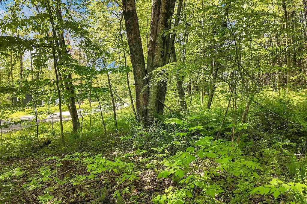 Lot 4 Vere Royce Road Tuftonboro NH 03816