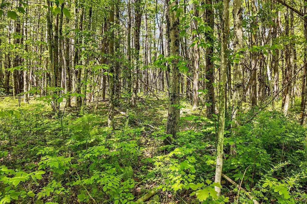 Lot 4 Vere Royce Road Tuftonboro NH 03816