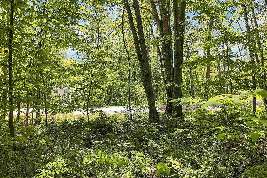 Lot 4 Vere Royce Road Tuftonboro NH 03816