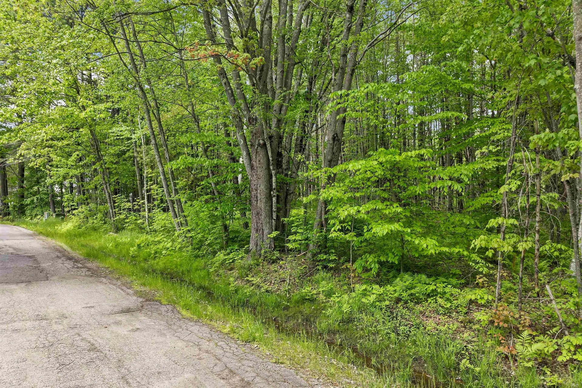 Lot 4 Vere Royce Road Tuftonboro NH 03816