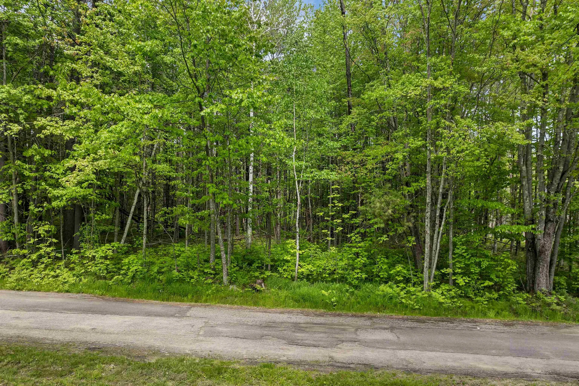 Lot 4 Vere Royce Road Tuftonboro NH 03816