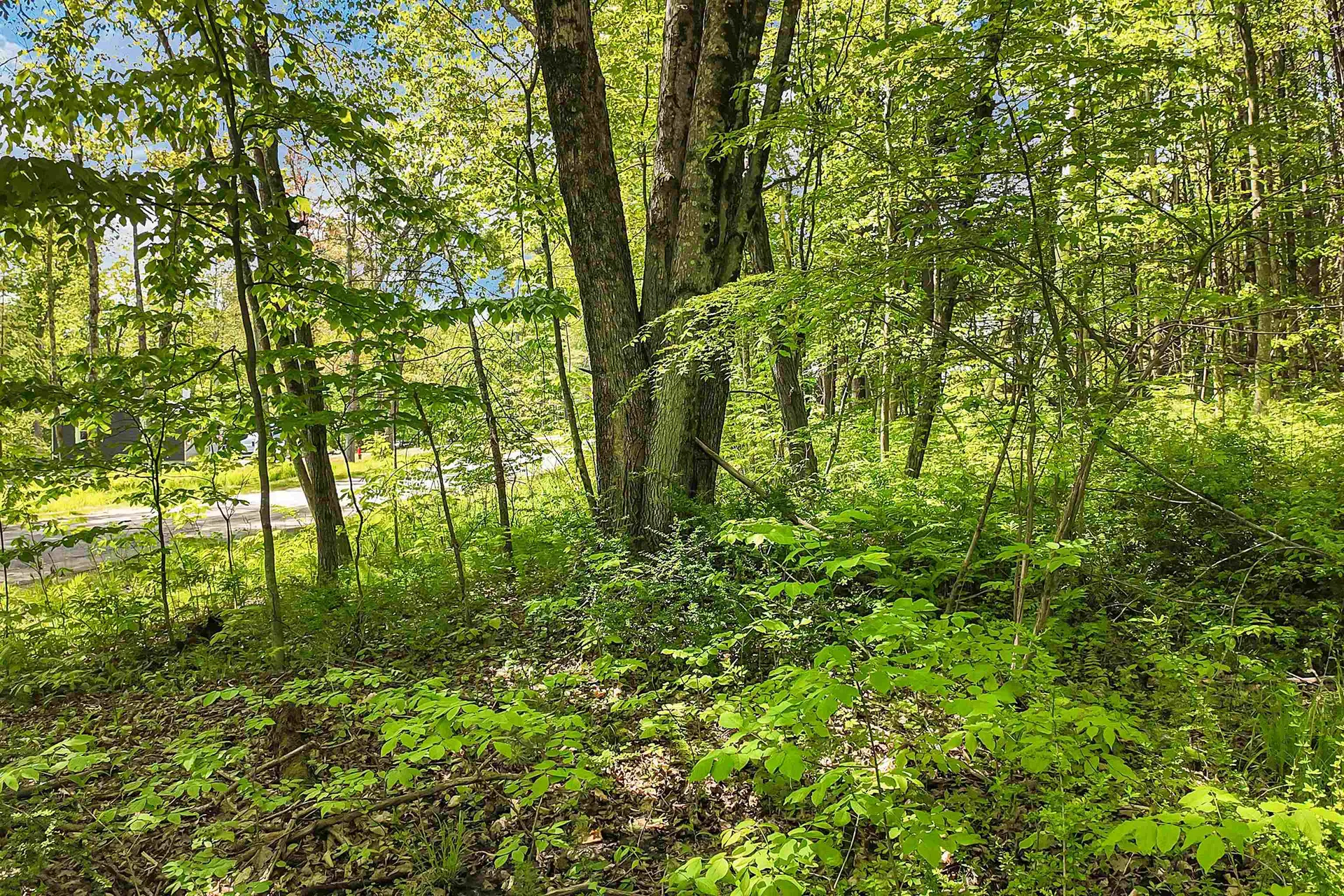 Lot 4 Vere Royce Road Tuftonboro NH 03816