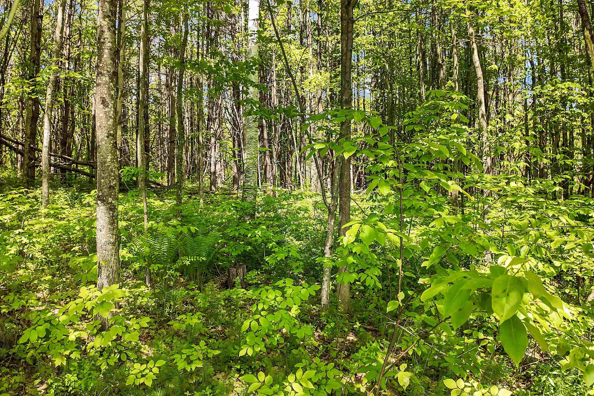 Lot 4 Vere Royce Road Tuftonboro NH 03816