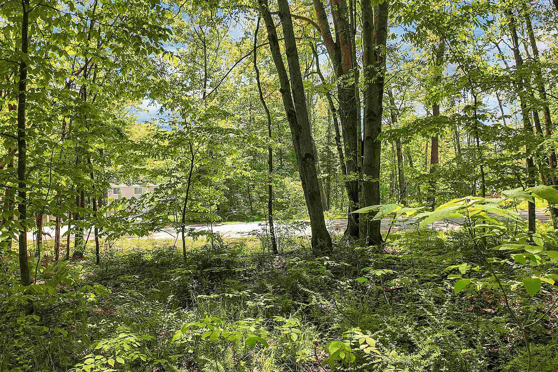 Lot 4 Vere Royce Road Tuftonboro NH 03816