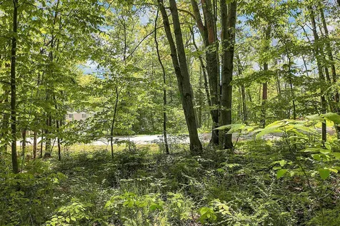Lot 4 Vere Royce Road Tuftonboro NH 03816