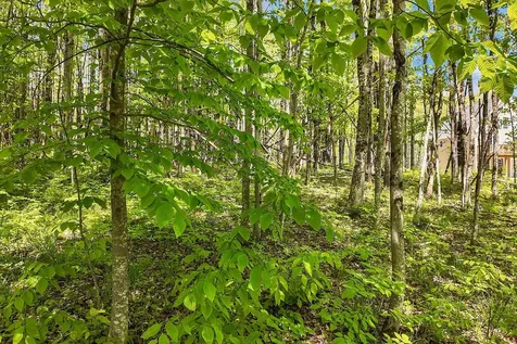 Lot 4 Vere Royce Road Tuftonboro NH 03816