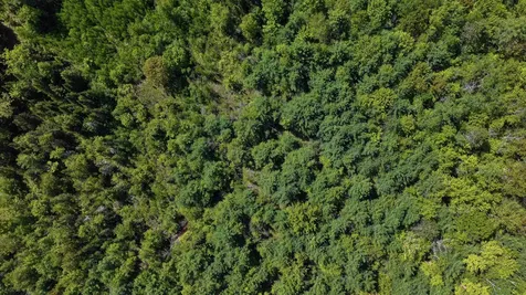 Lot 2-2 Riverbend Road Brownfield ME 04010