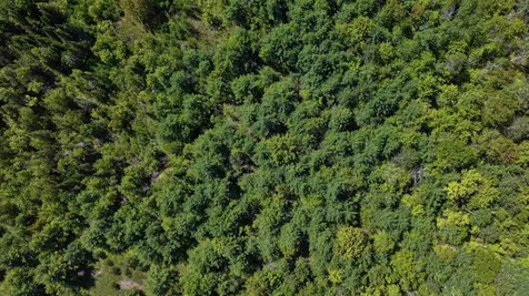 Lot 2-2 Riverbend Road Brownfield ME 04010