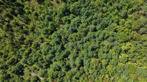 Lot 2-2 Riverbend Road Brownfield ME 04010