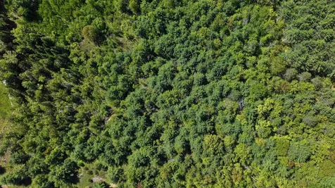 Lot 2-2 Riverbend Road Brownfield ME 04010