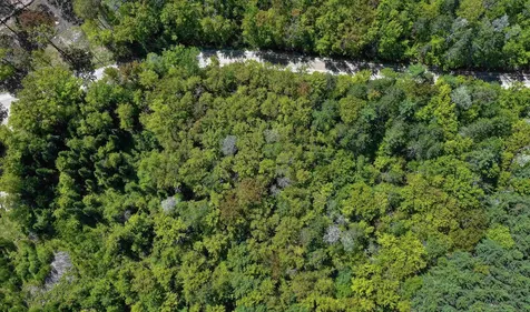 Lot 2-2 Riverbend Road Brownfield ME 04010